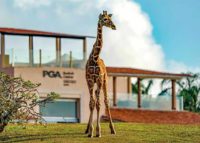 Vipingo Ridge - foto vipingoridge.com